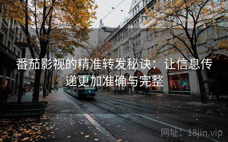番茄影视的精准转发秘诀：让信息传递更加准确与完整